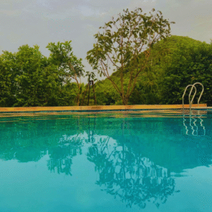 Sariska jungle camp swimming pool photo