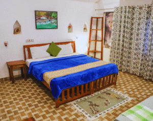 Sariska jungle camp rooms photos