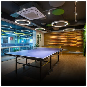 Sariska jungle camp game zone photo